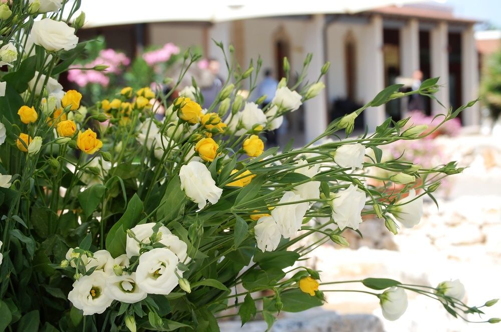 Hotel Masseria La Grande Quercia Mottola Zewnętrze zdjęcie